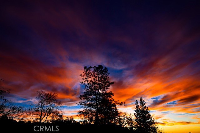 5333 Wilderness View Drive