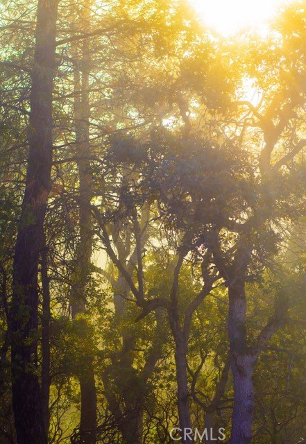 5333 Wilderness View Drive