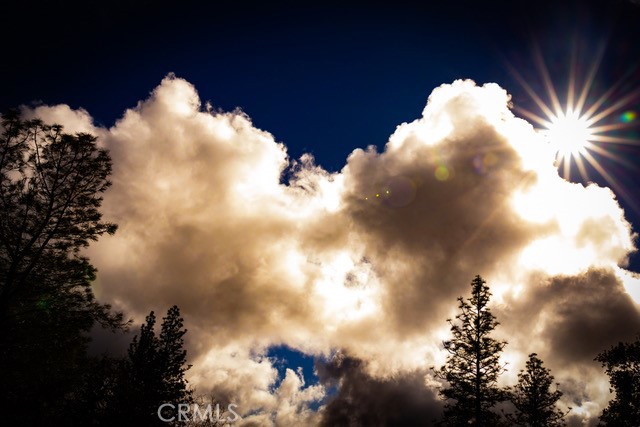 5333 Wilderness View Drive