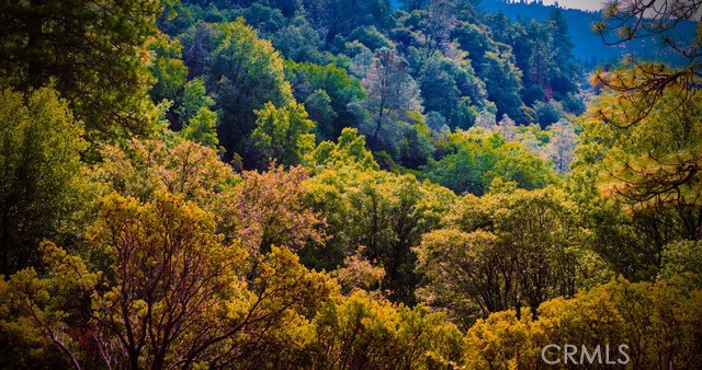 5333 Wilderness View Drive