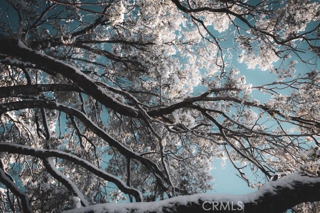 5333 Wilderness View Drive