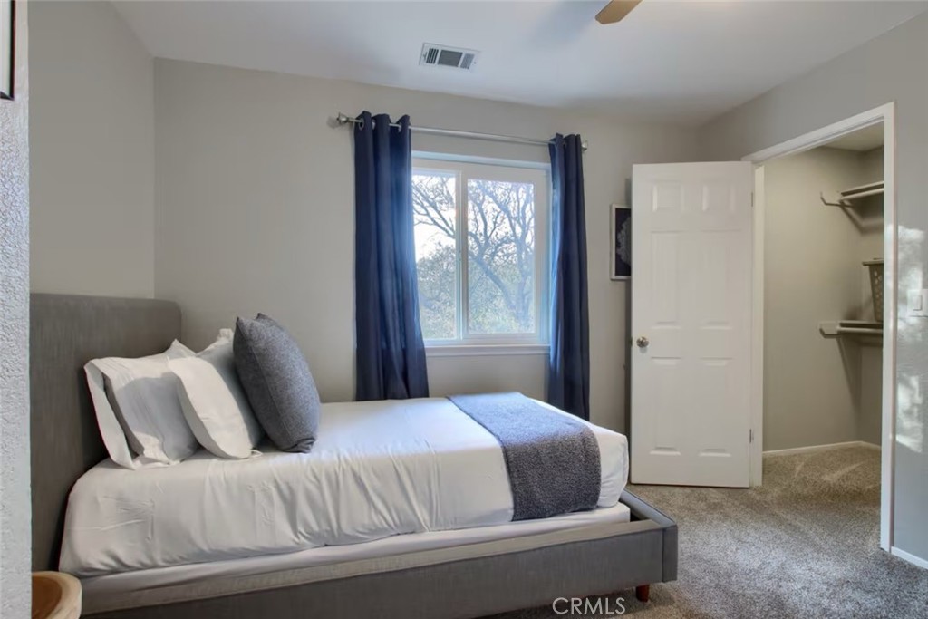 5615 Bear Trap Drive