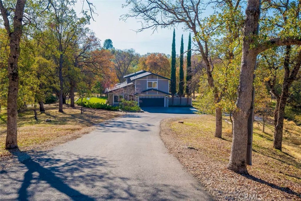 5615 Bear Trap Drive