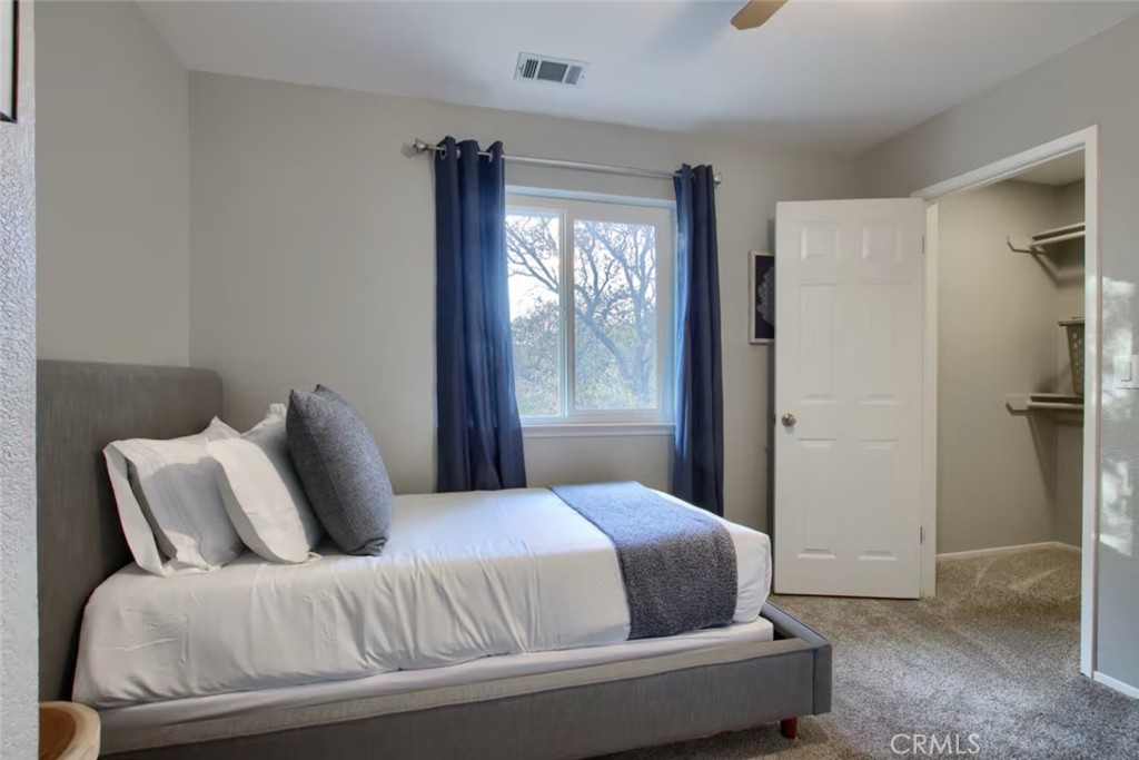 5615 Bear Trap Drive