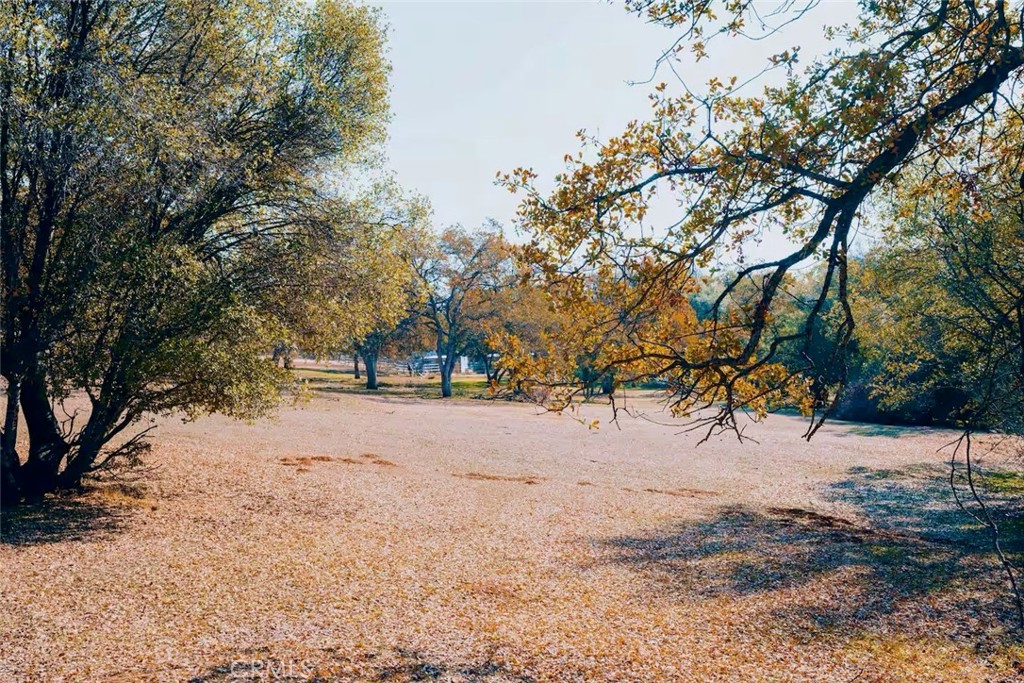5615 Bear Trap Drive