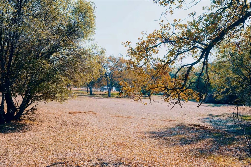 5615 Bear Trap Drive