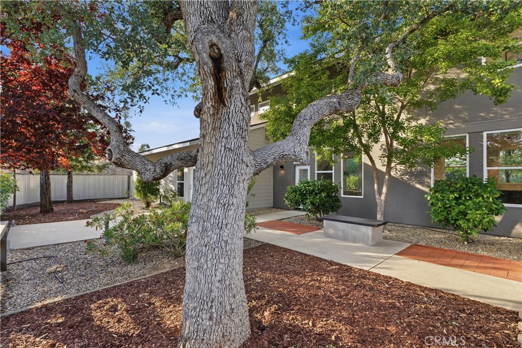 41819 Lilley Mountain Drive