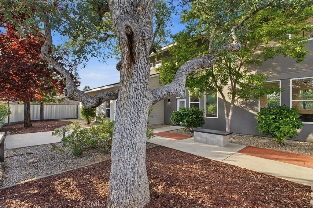 41819 Lilley Mountain Drive