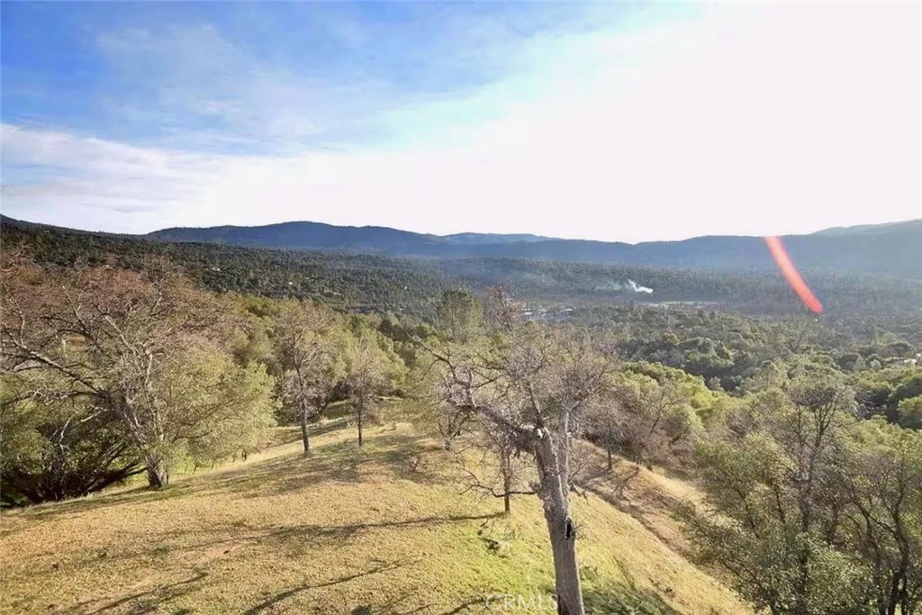 50616 Woodside Lane
