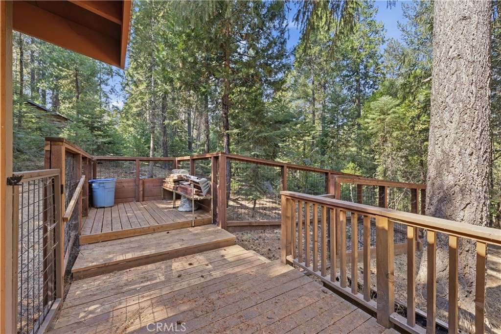 Wooden deck surrounded by evergreens, with a grill and a large tree beside the railing.