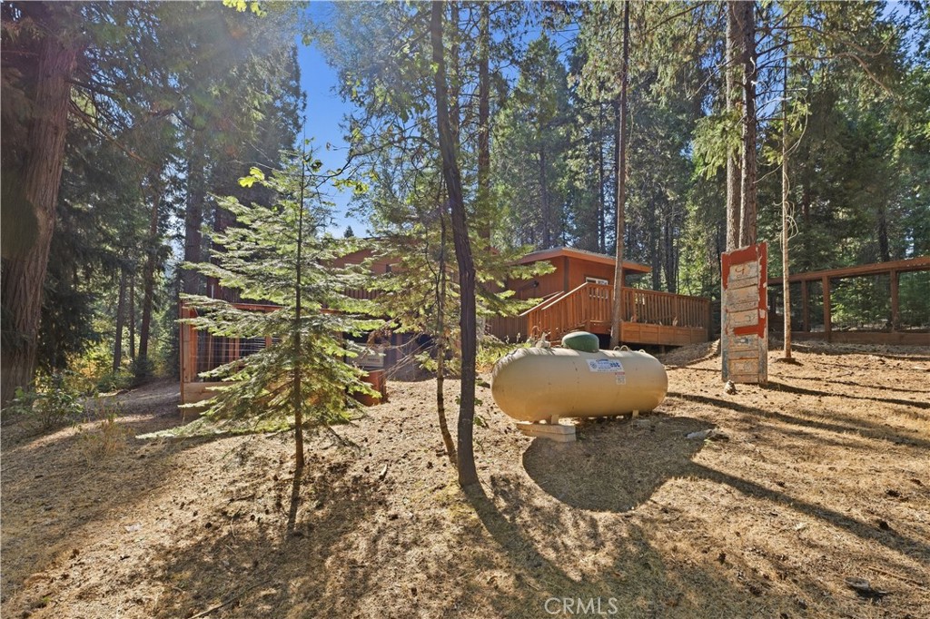 Wood-sided home and raised deck among tall trees, with a propane tank in the foreground.