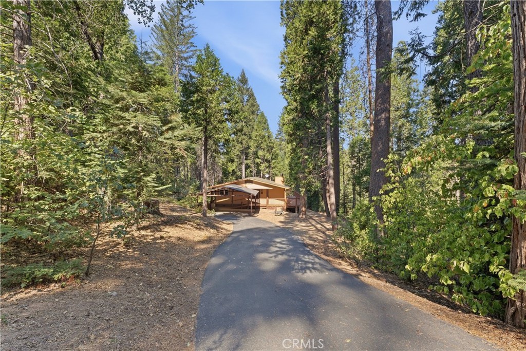 Wood-sided home with covered carport at the end of a paved driveway through tall trees.