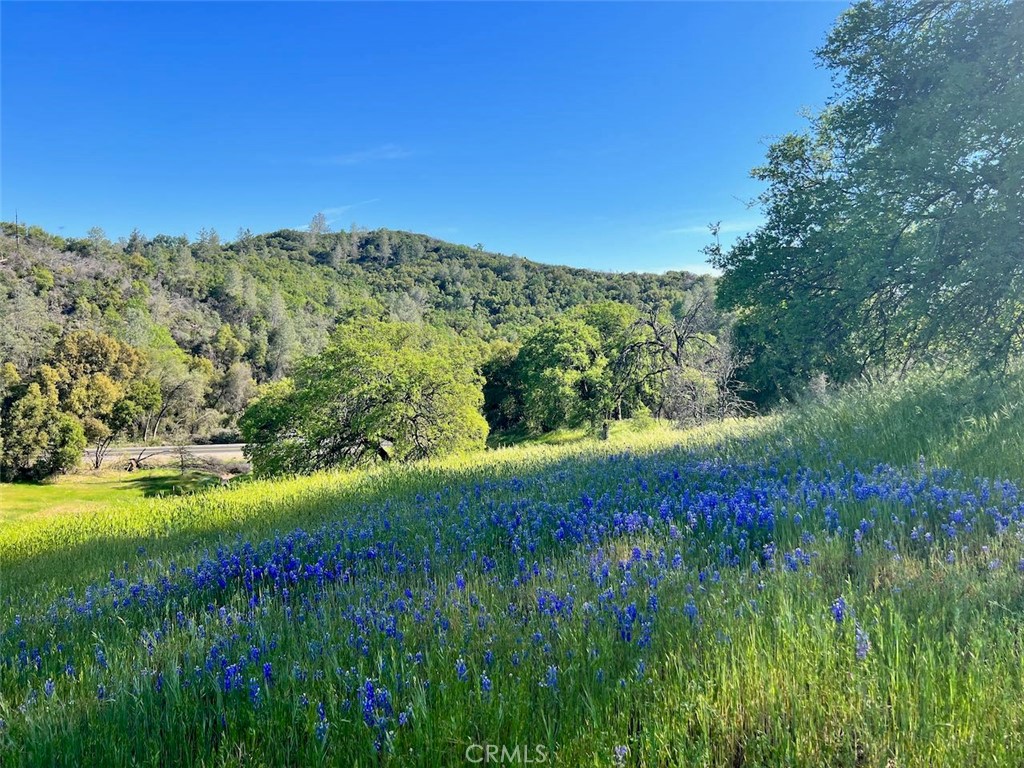 4331 State Highway 140