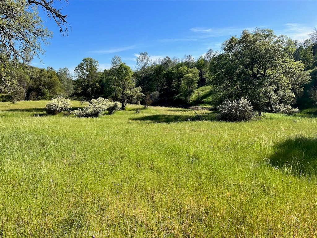 4331 State Highway 140