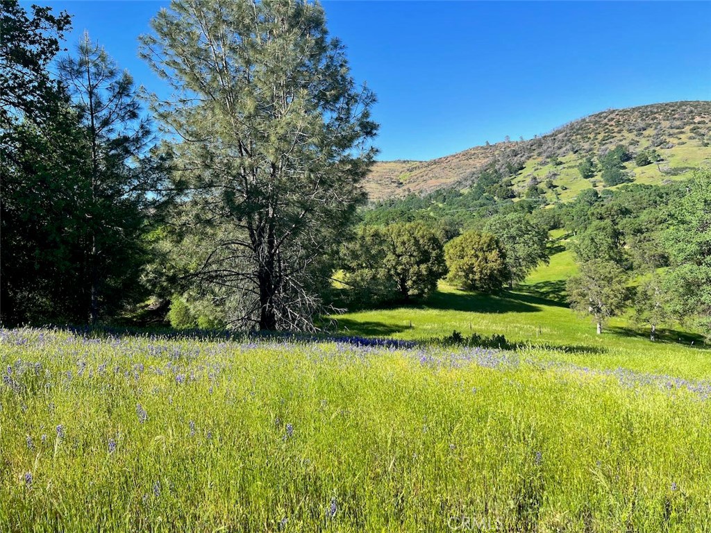 4331 State Highway 140