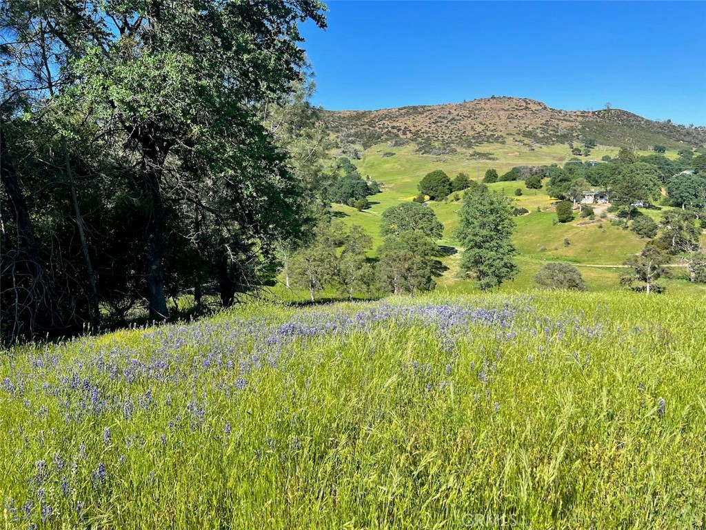 4331 State Highway 140