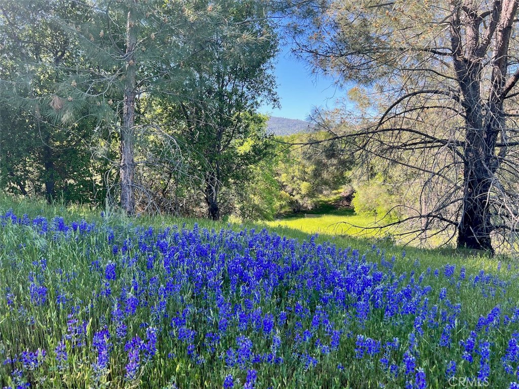 4331 State Highway 140