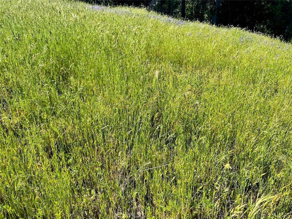 4331 State Highway 140