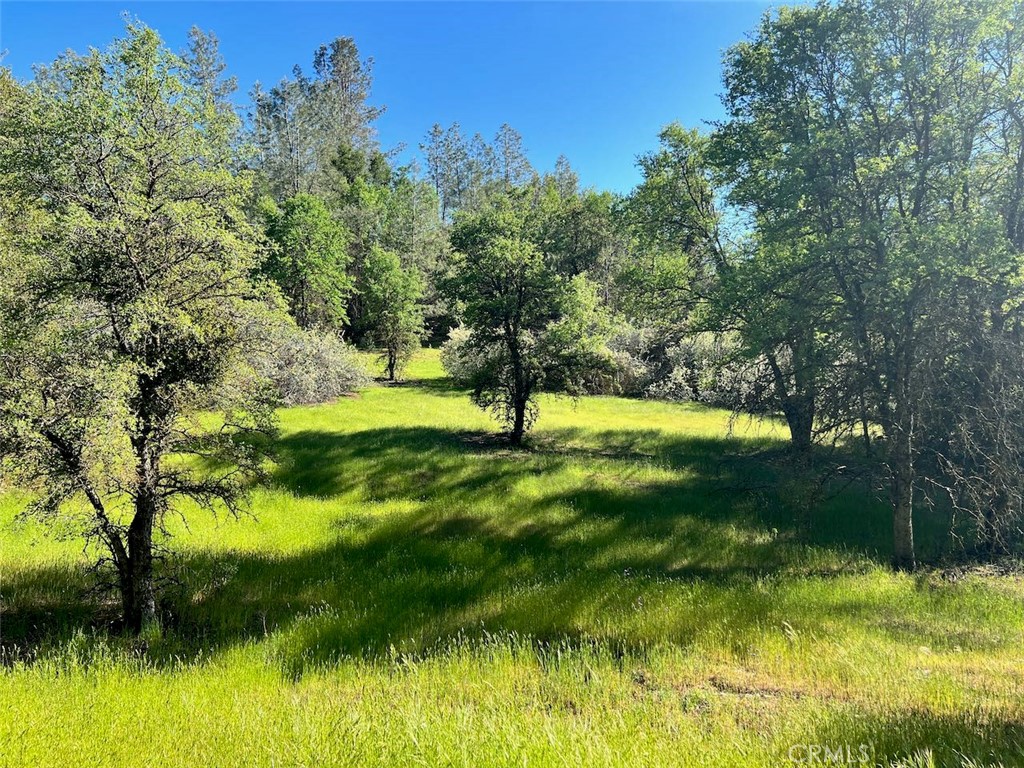 4331 State Highway 140