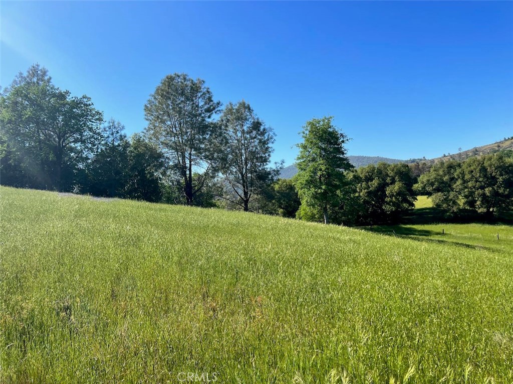 4331 State Highway 140