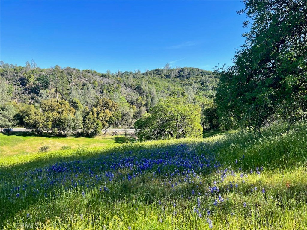 4331 State Highway 140