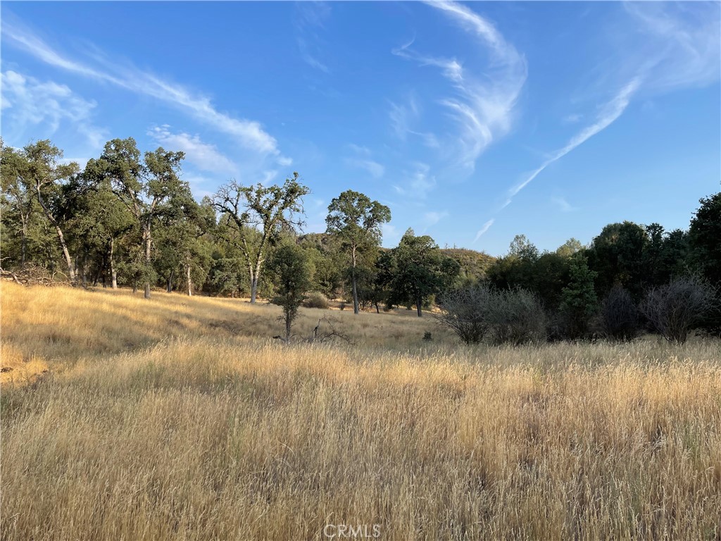 4331 State Highway 140