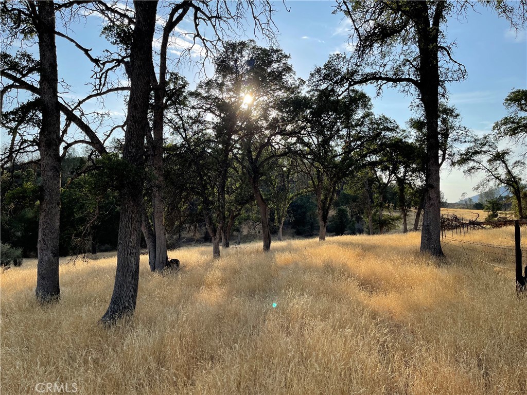 4331 State Highway 140