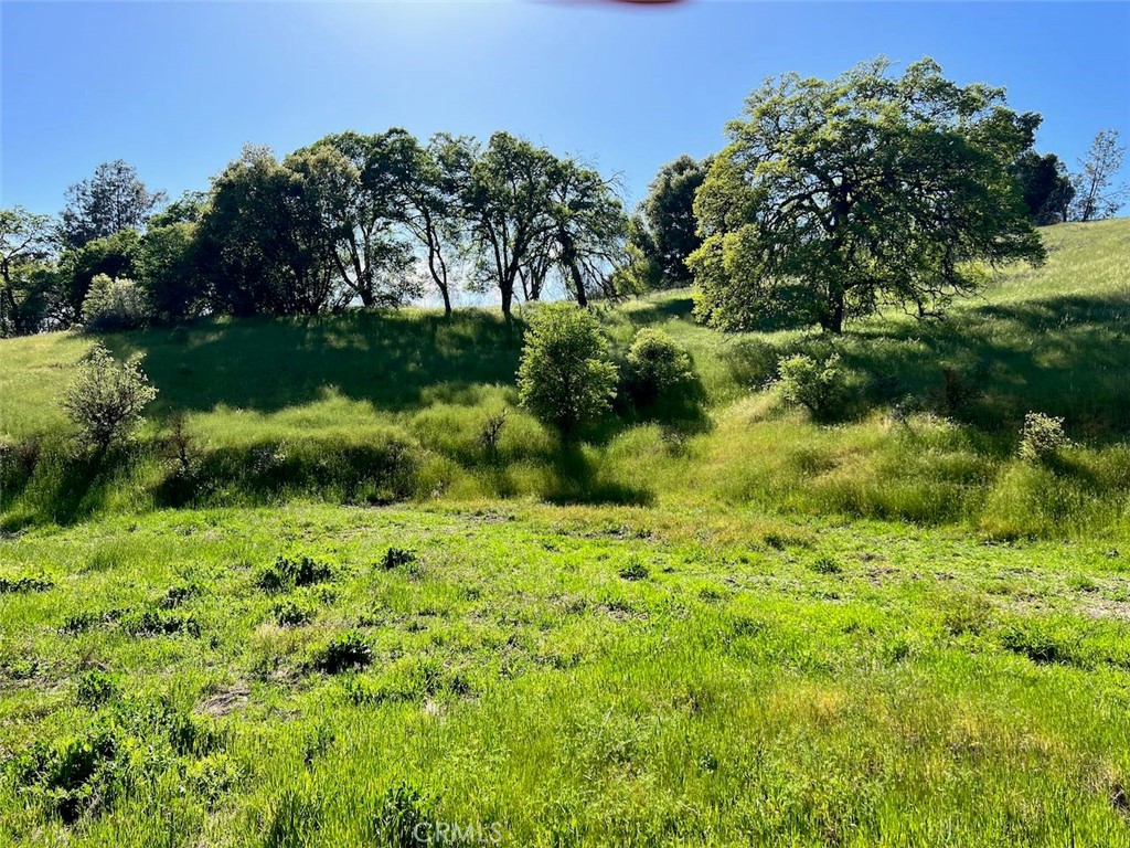 4331 State Highway 140