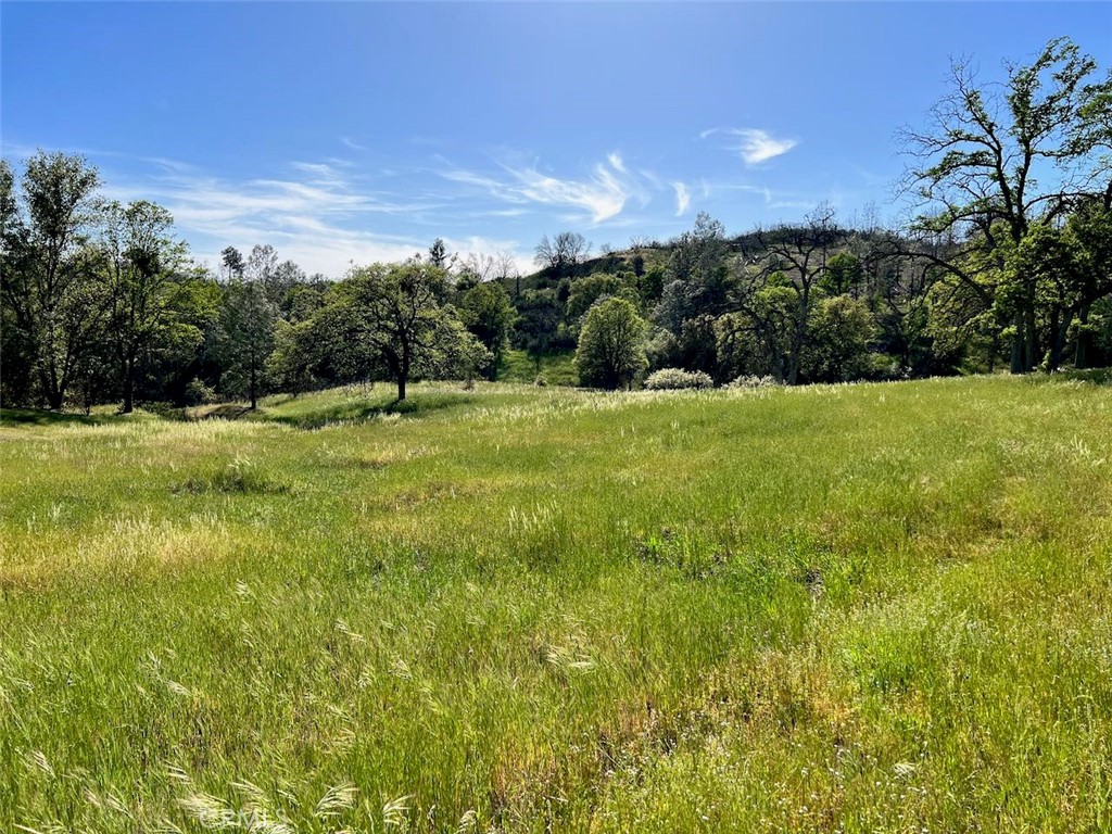 4331 State Highway 140