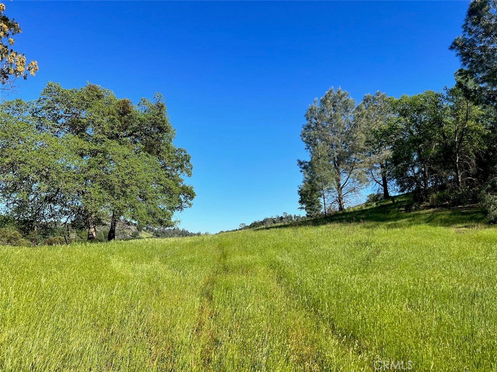 4331 State Highway 140