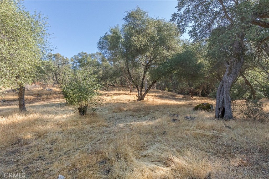 3111 River Haven Drive