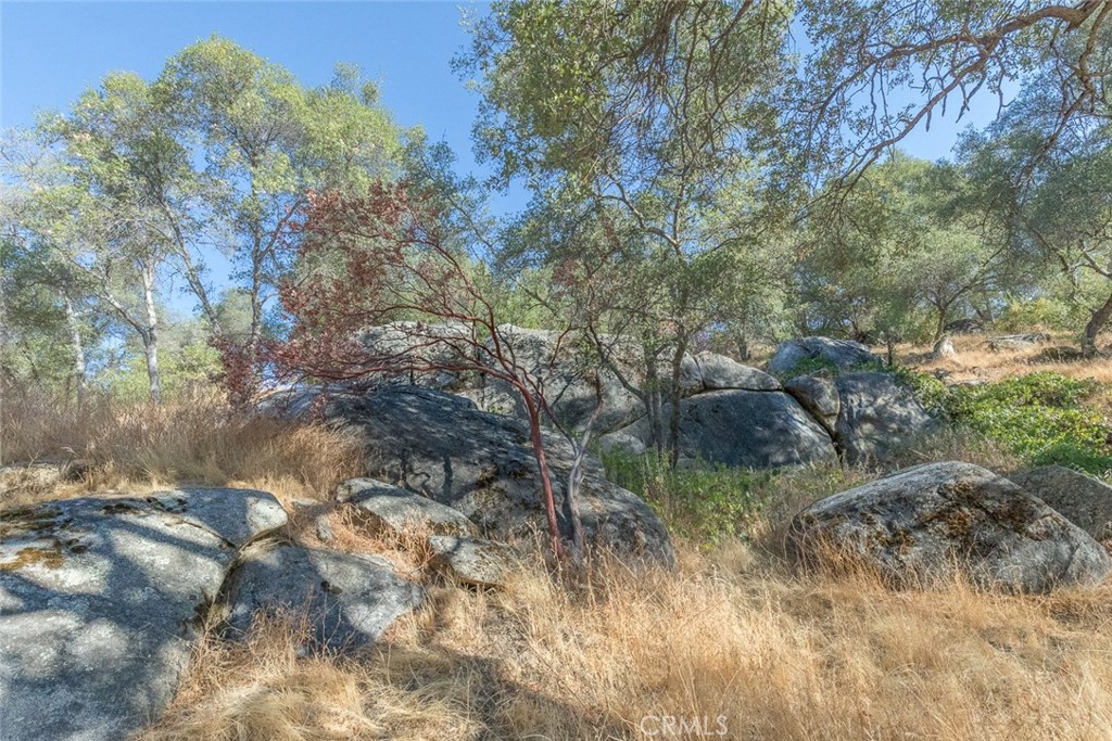 3111 River Haven Drive