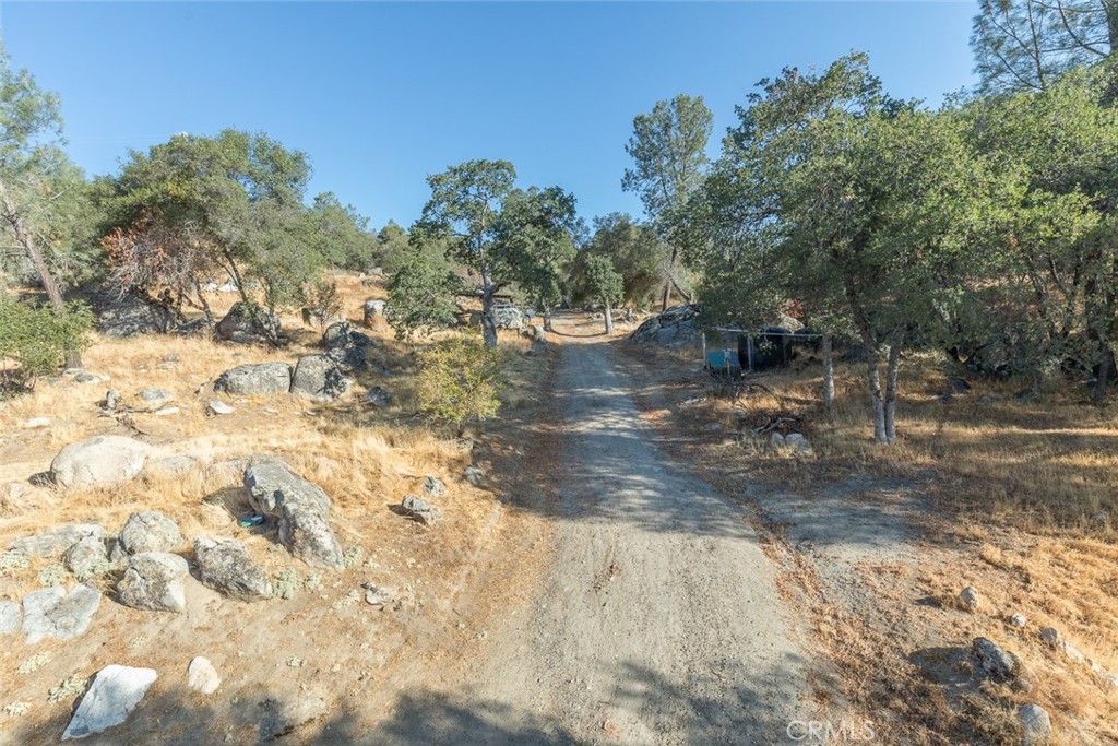 3111 River Haven Drive