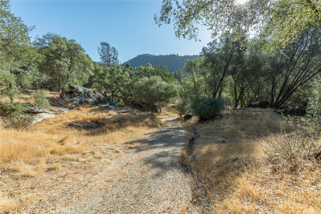 3111 River Haven Drive