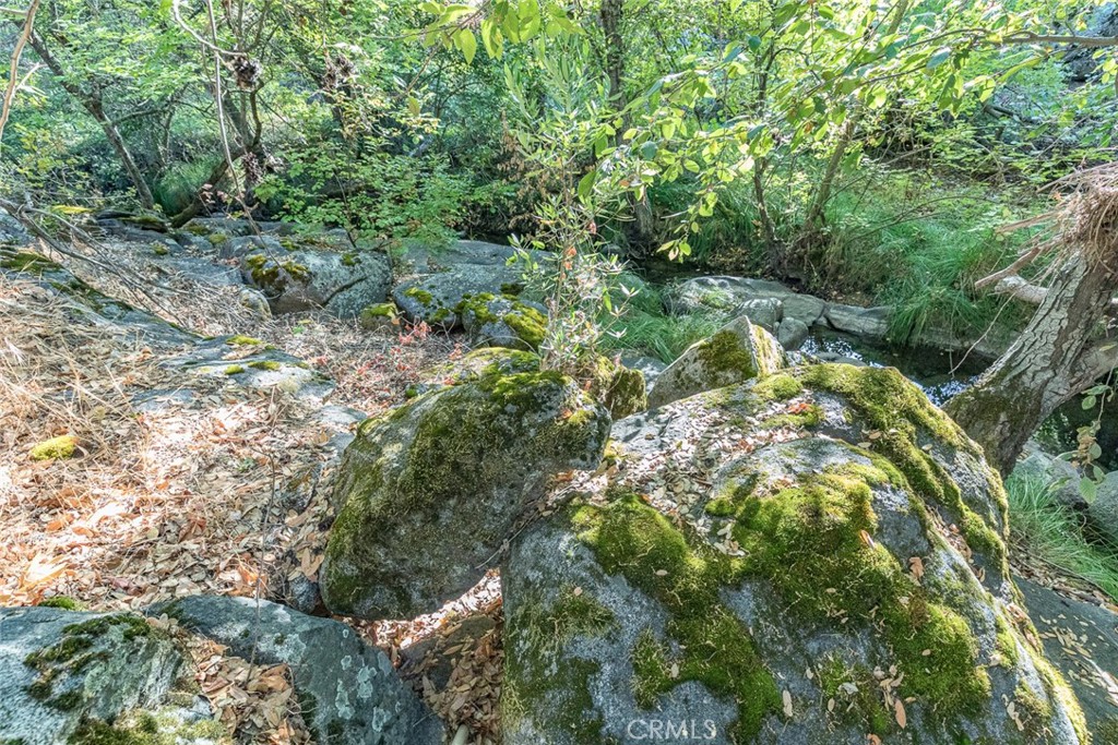 3111 River Haven Drive