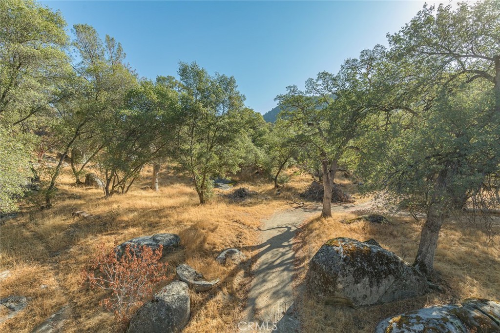 3111 River Haven Drive