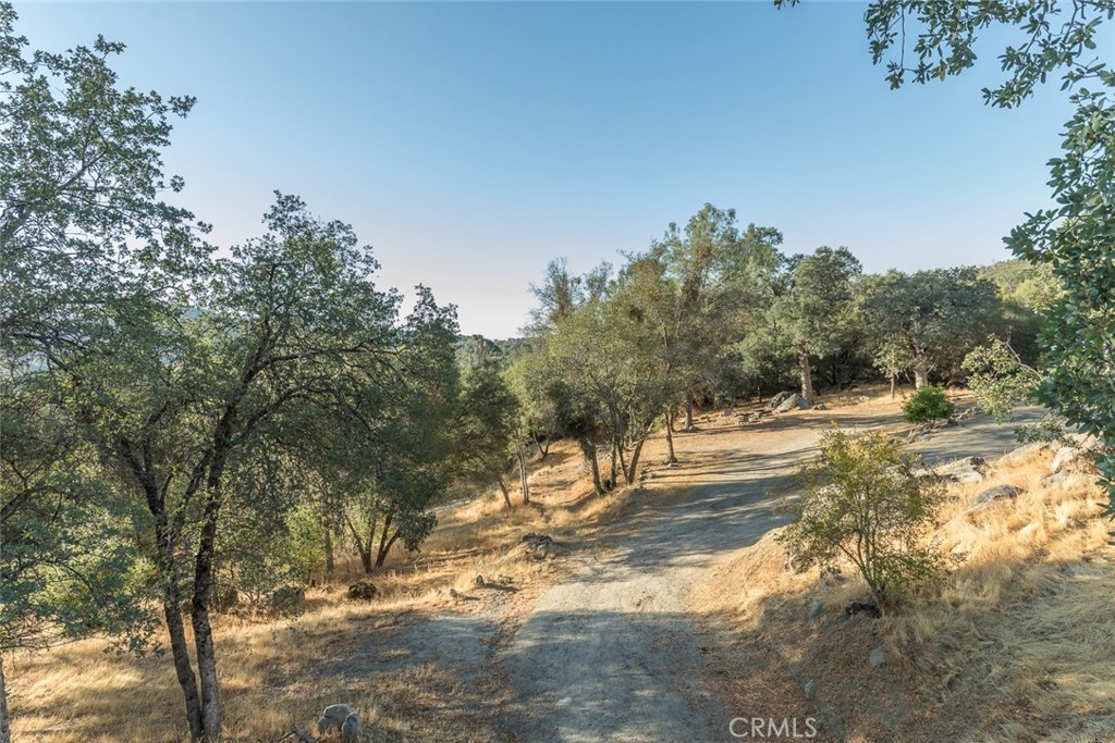 3111 River Haven Drive