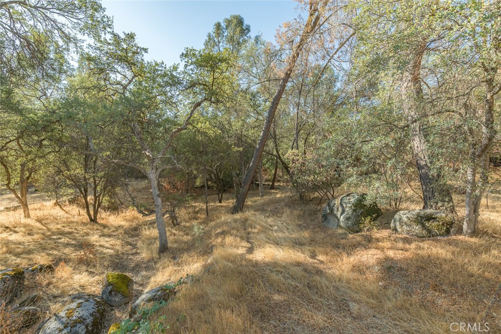 3111 River Haven Drive