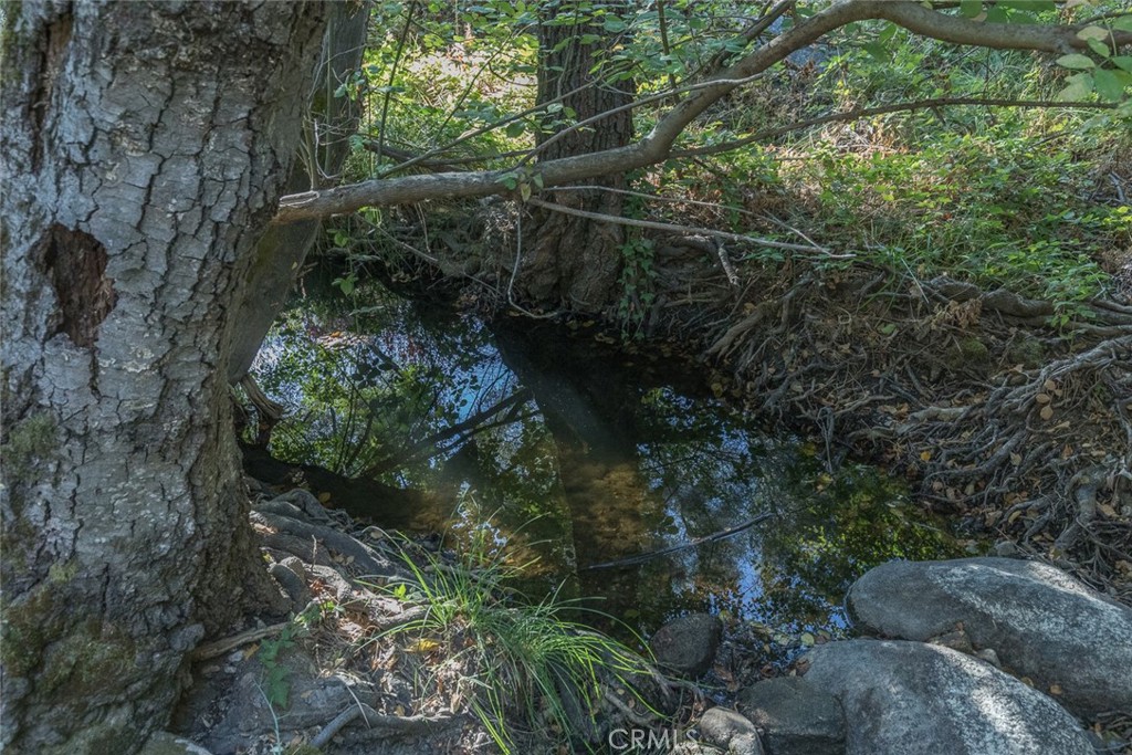 3111 River Haven Drive