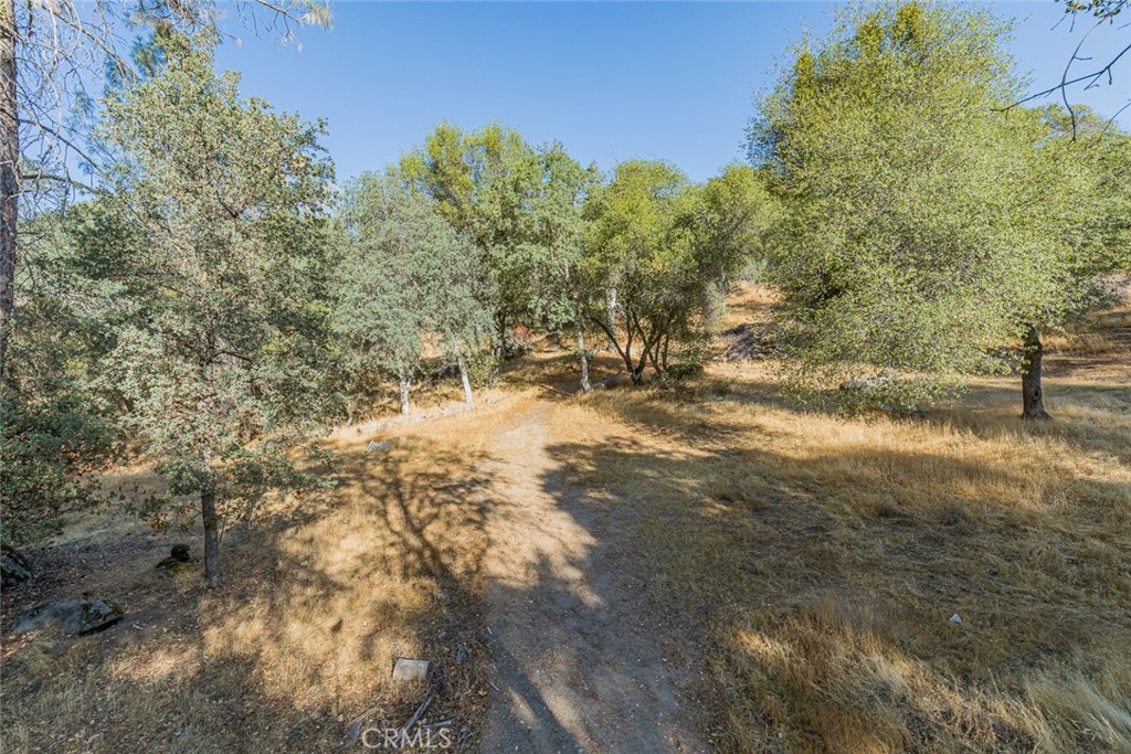 3111 River Haven Drive