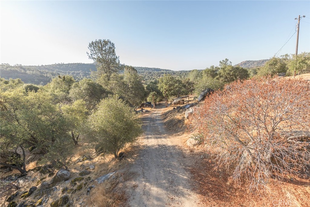 3111 River Haven Drive