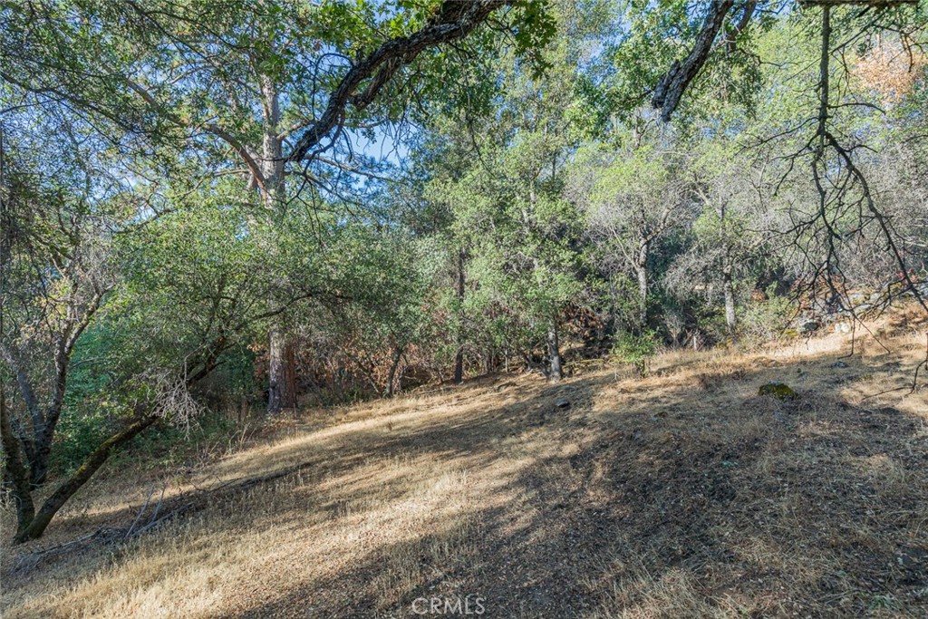 3111 River Haven Drive