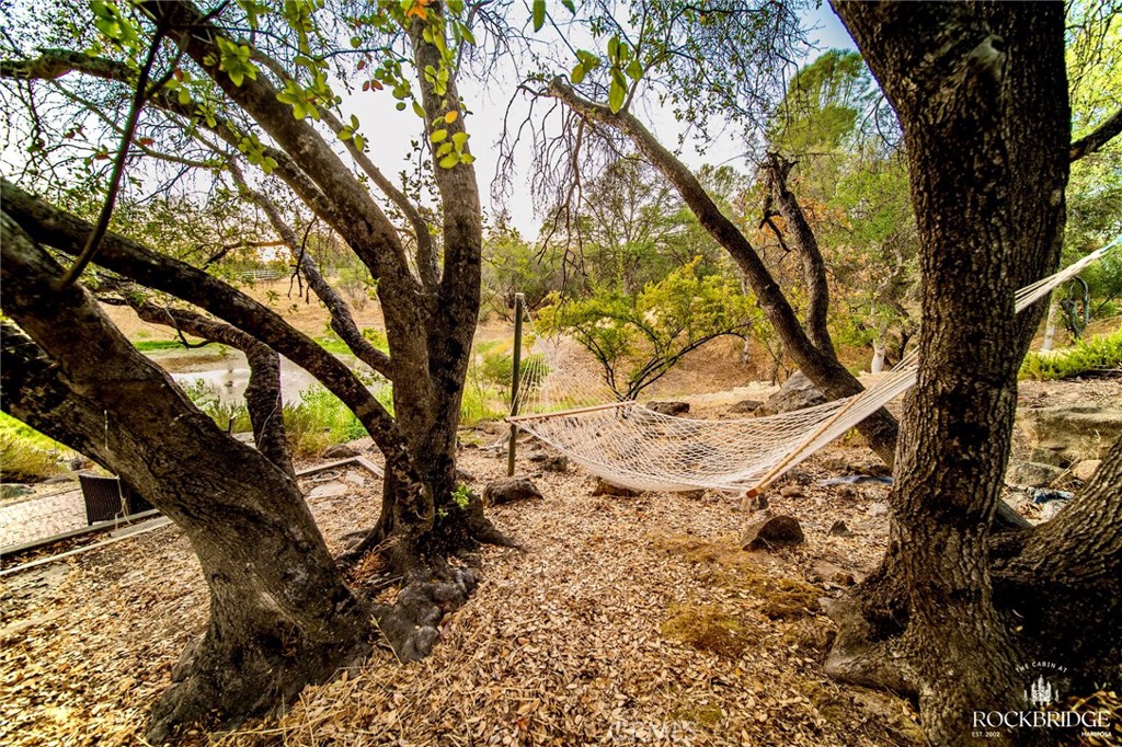 2323 Sierra Vista Way