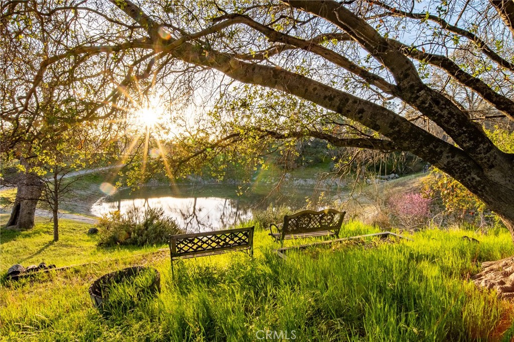 2323 Sierra Vista Way