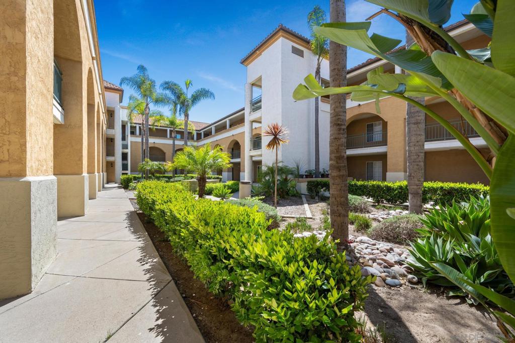 2150 Camino De La Reina 4210