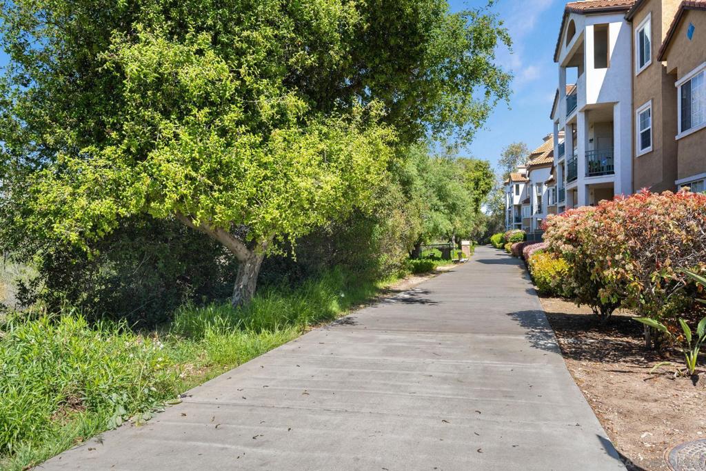 2150 Camino De La Reina 4210