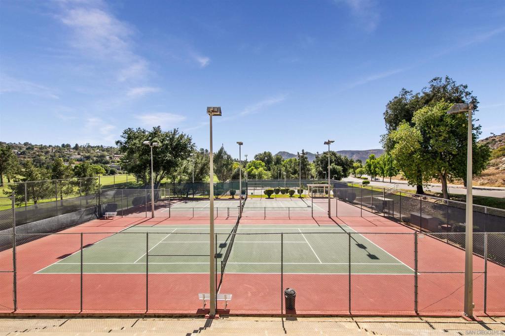 15839 Davis Cup