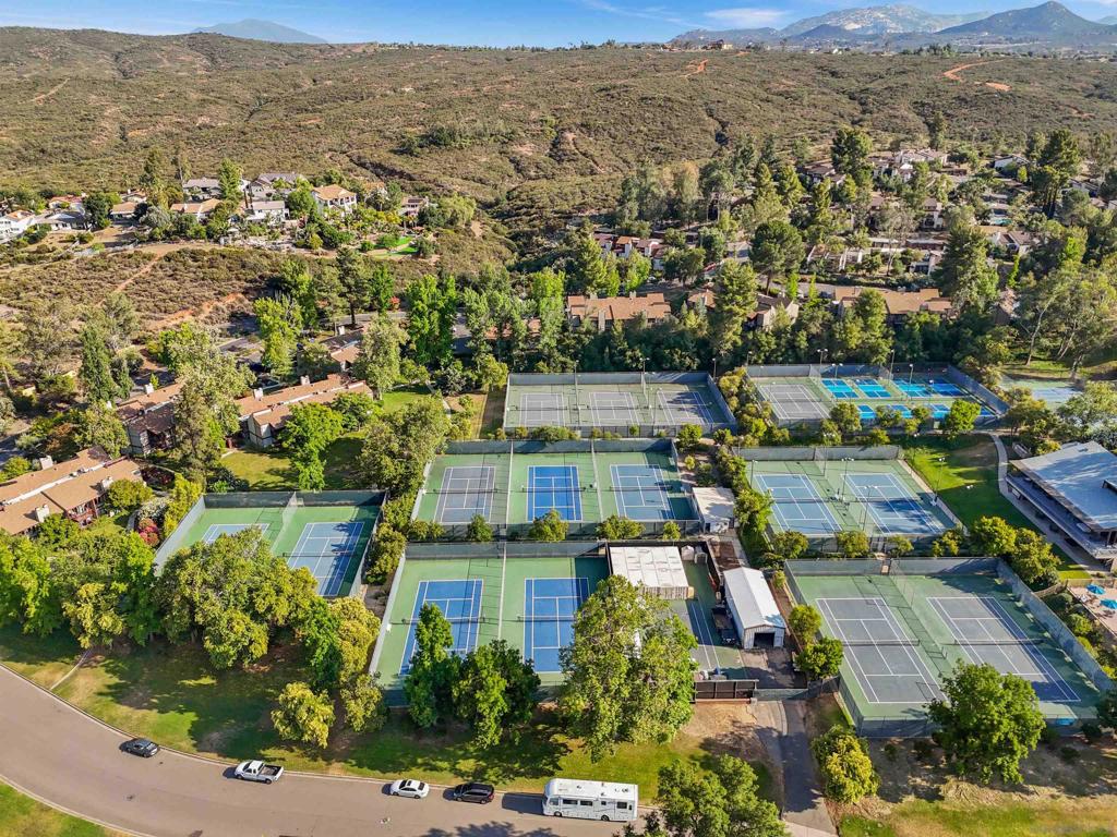 15839 Davis Cup