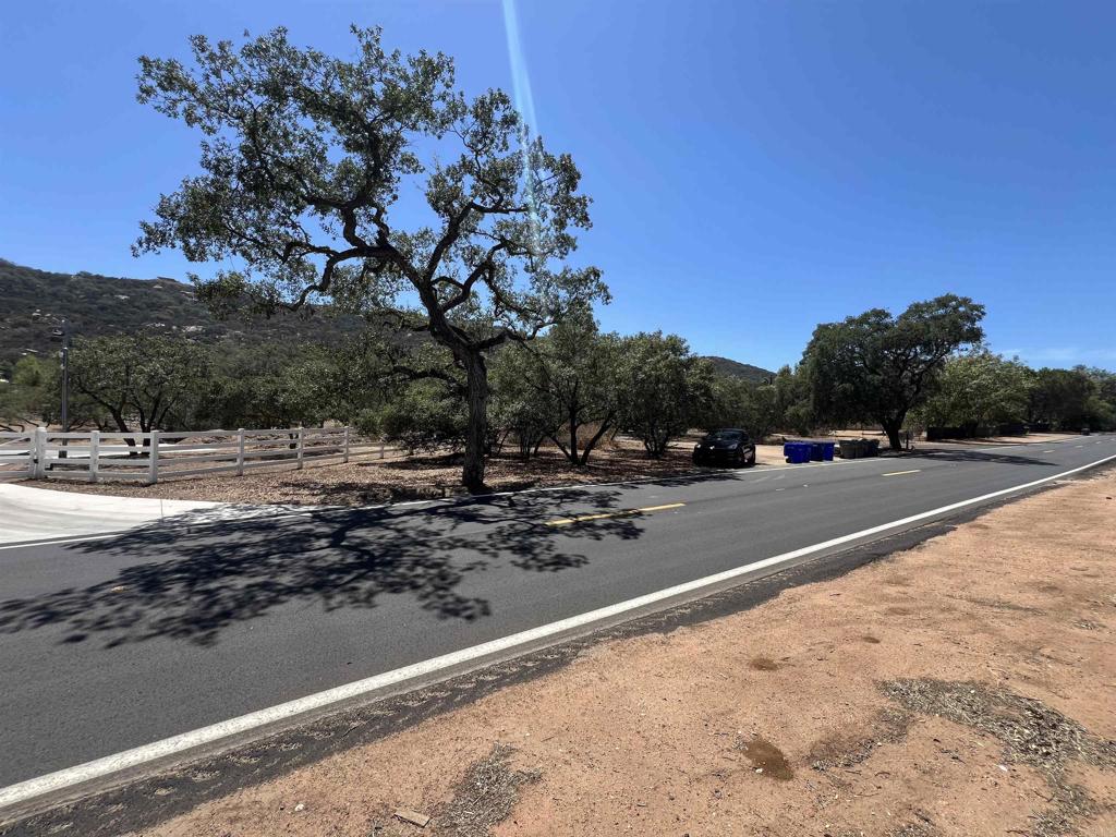 Lyons Valley Road