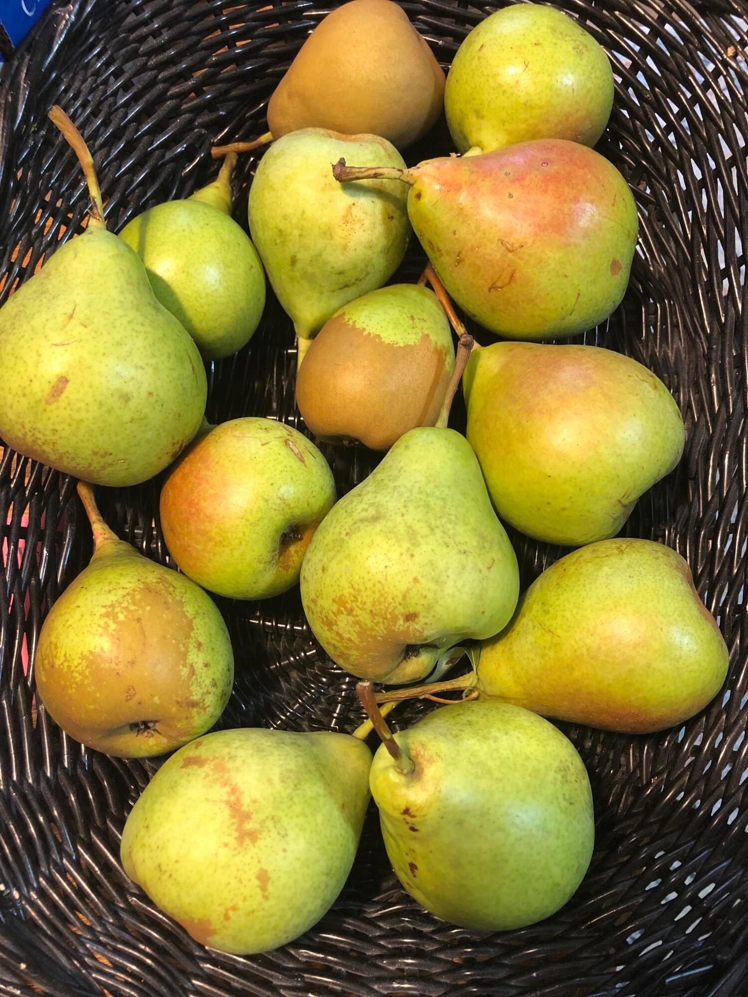 9226 Prestwick Green Drive